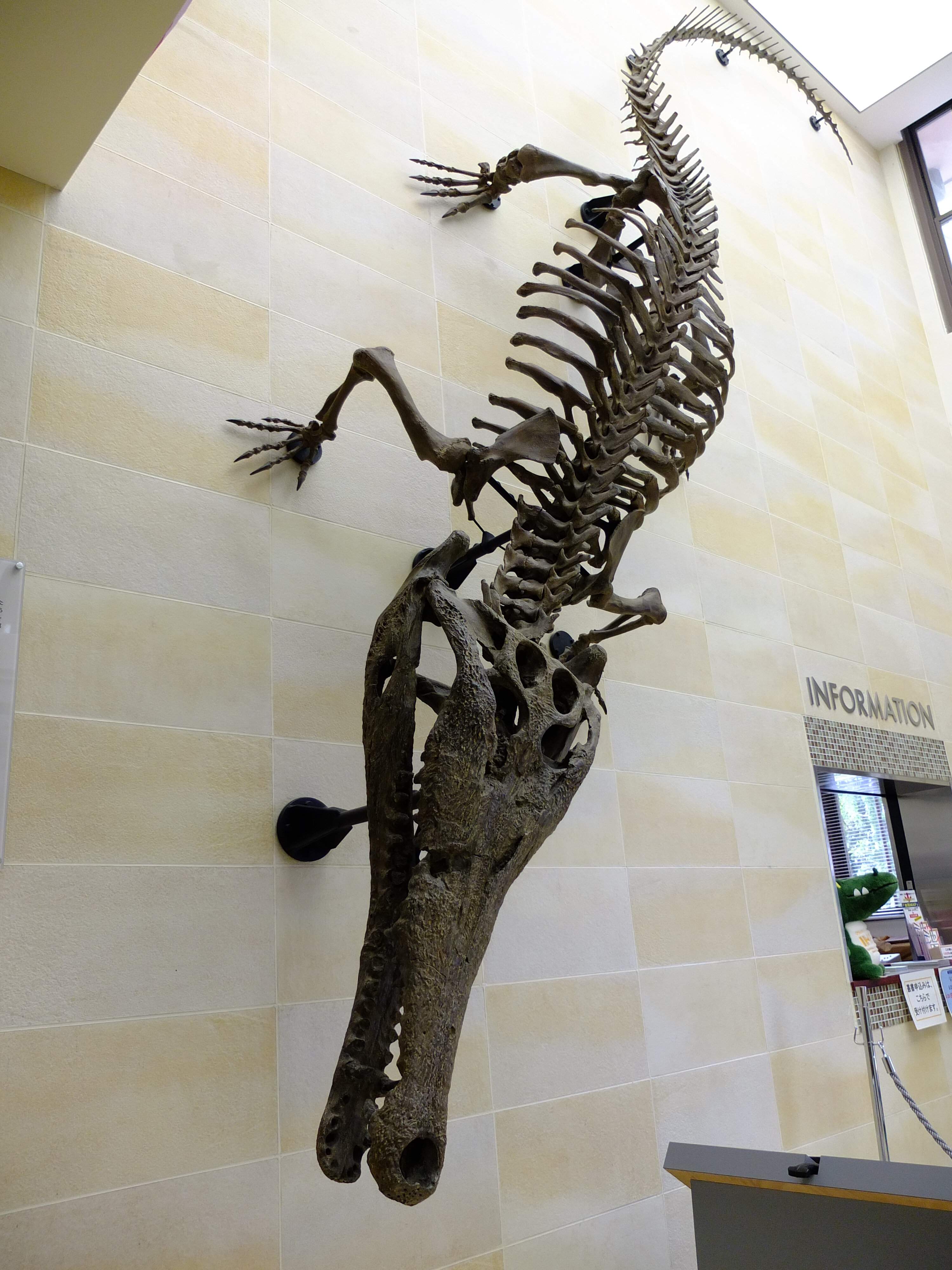 🏛️ 오사카대학 종합학술박물관(오사카다이가쿠소고가쿠주쓰하쿠부쓰칸) 이미지 2